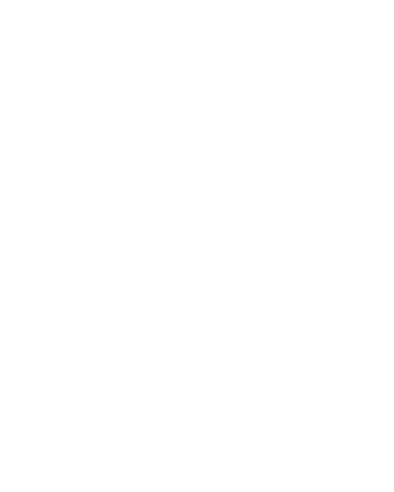 Emoción por México